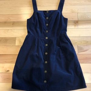 Birds of America dress